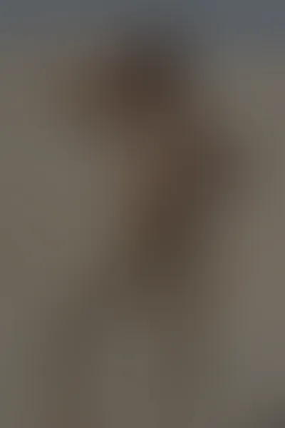 AI desert planet sample — photograph of a grown woman, Western-European, with wind-bur